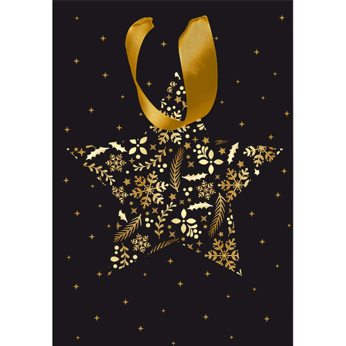 Star Gift Bag - Small Size