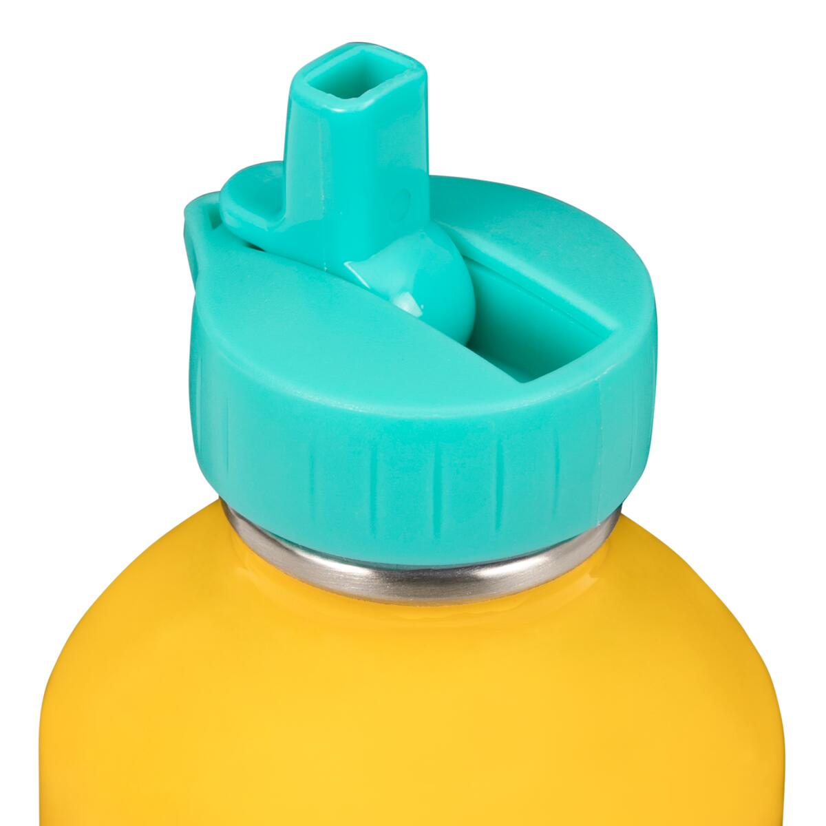 Gourde enfant chiens skateurs 2