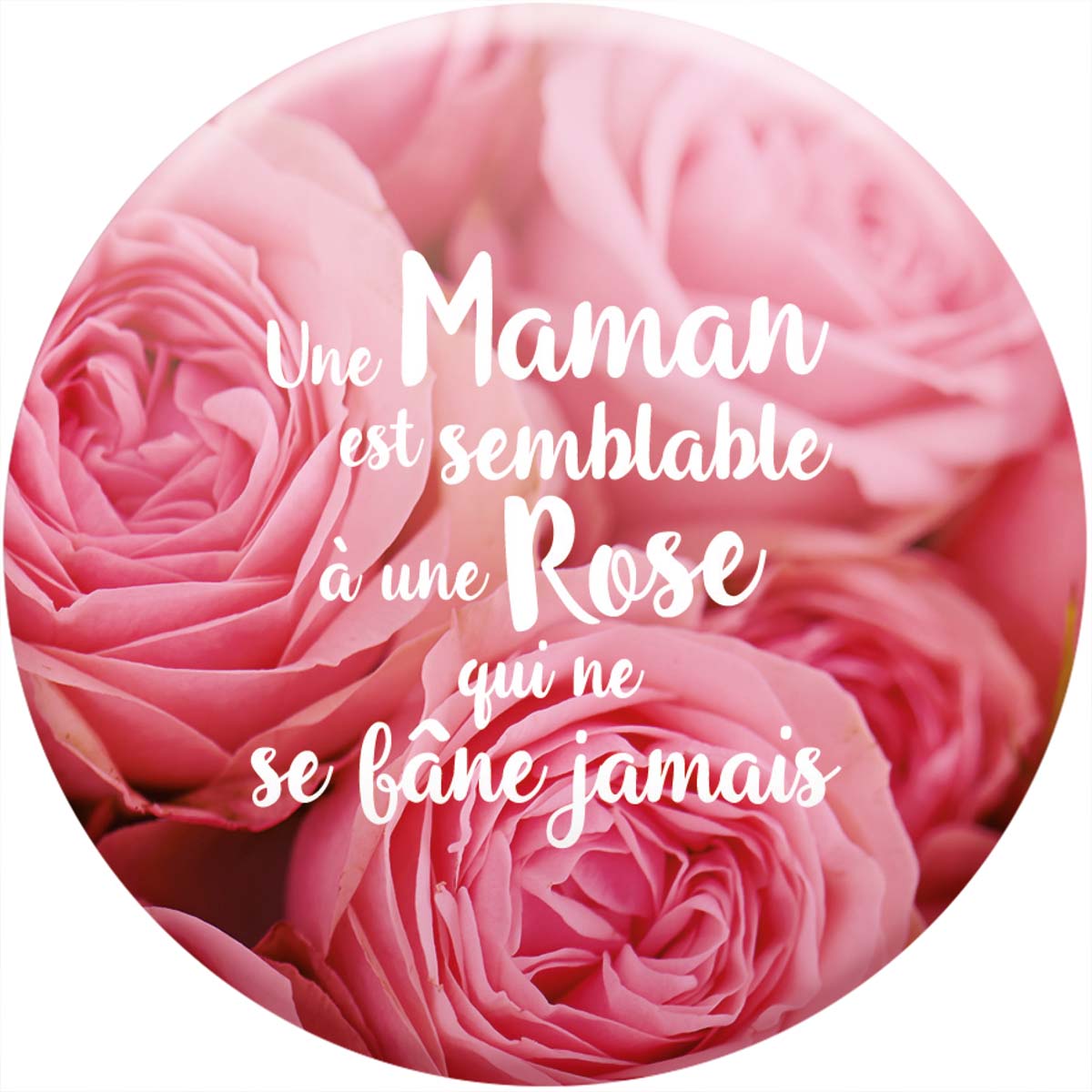 Imán - Una madre es como una rosa