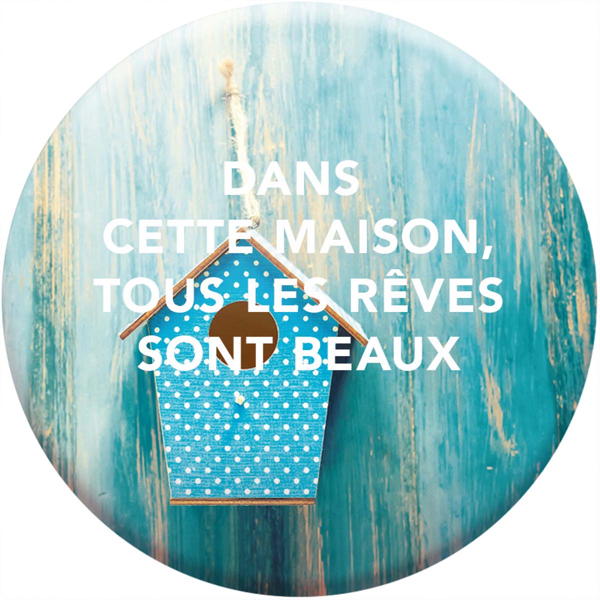 Imán Magnético - En esta casa todos los sueños son hermosos