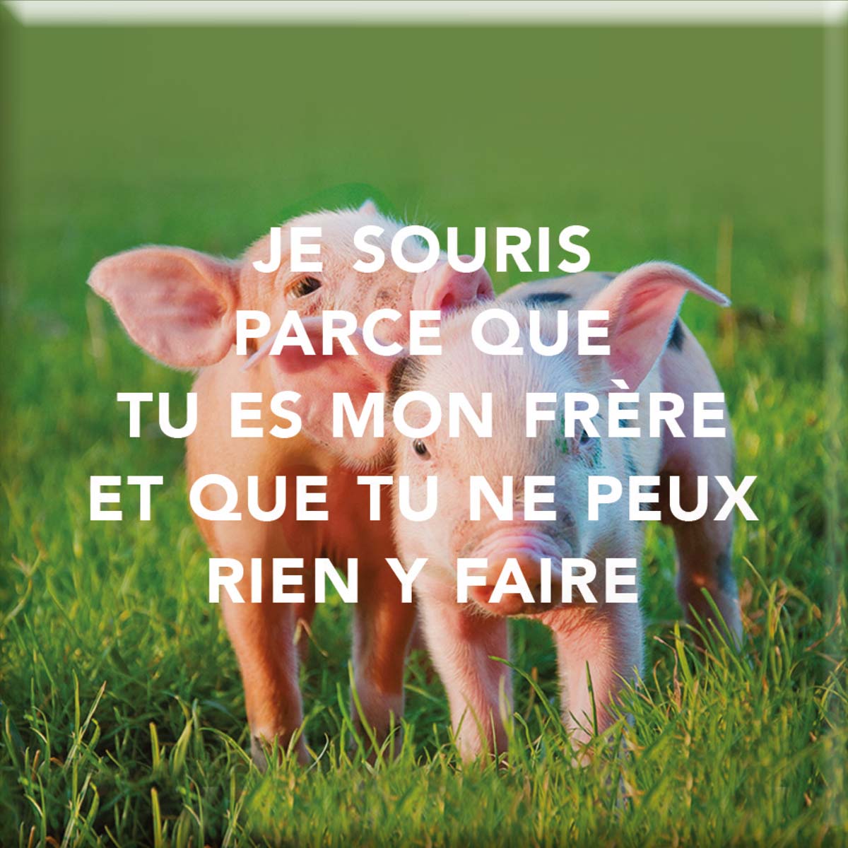 Magnet Aimanté - Je souris parce que tu es mon frère