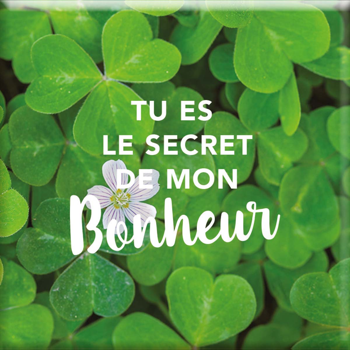 Magnetic Magnet with Personalized Messages