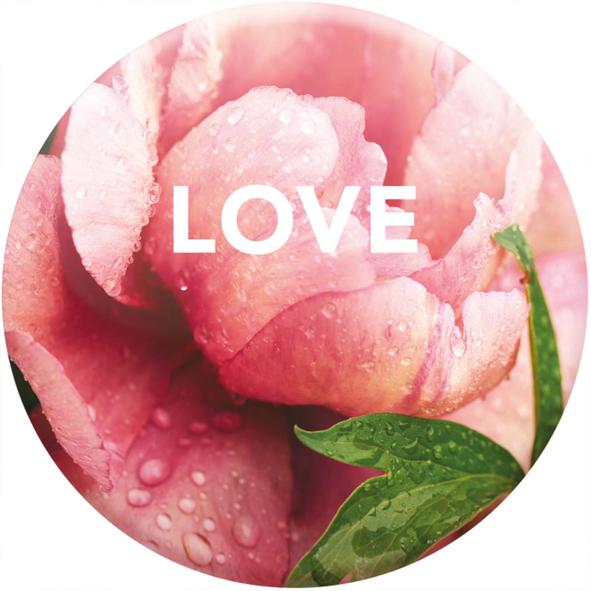 Imán Magnético - Para hermanas