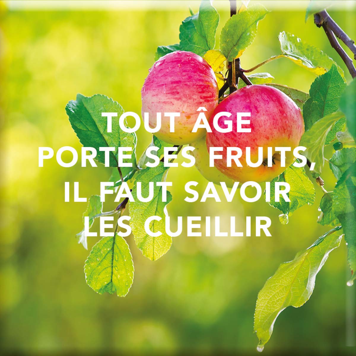 Imán Magnético - Para hermanas