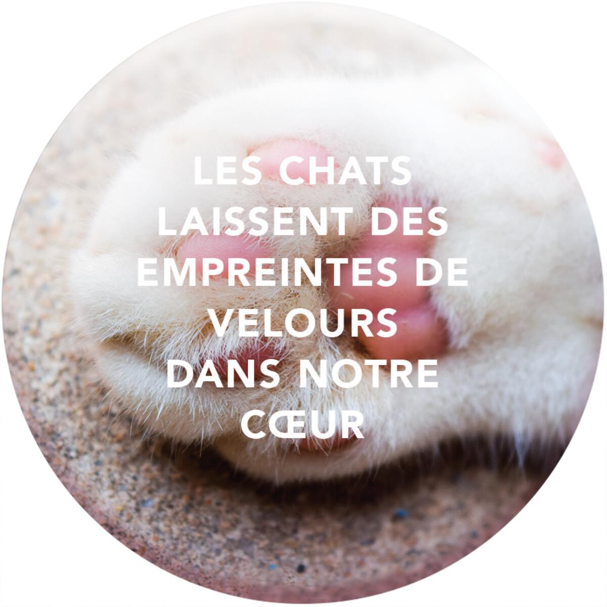 Imán Magnético - Para hermanas