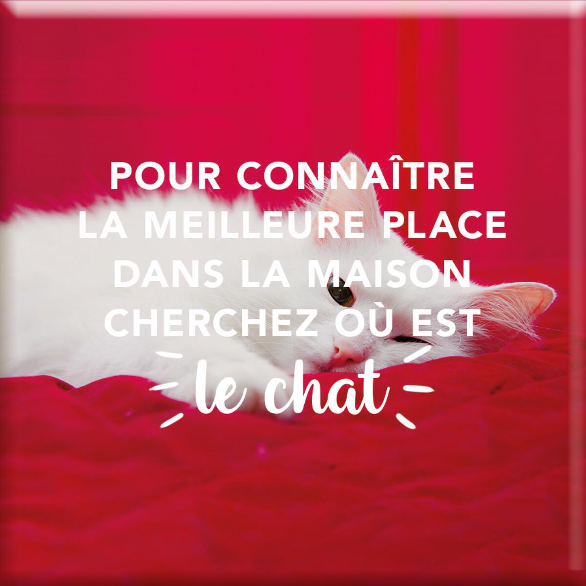 Imán Magnético - Para hermanas