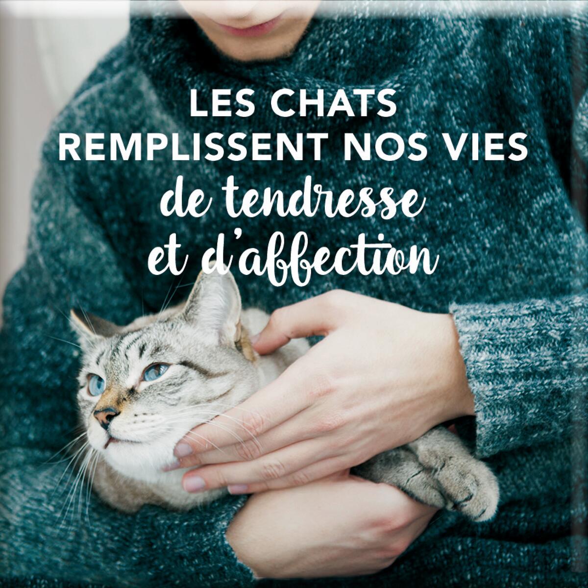 Imán Magnético - Para hermanas