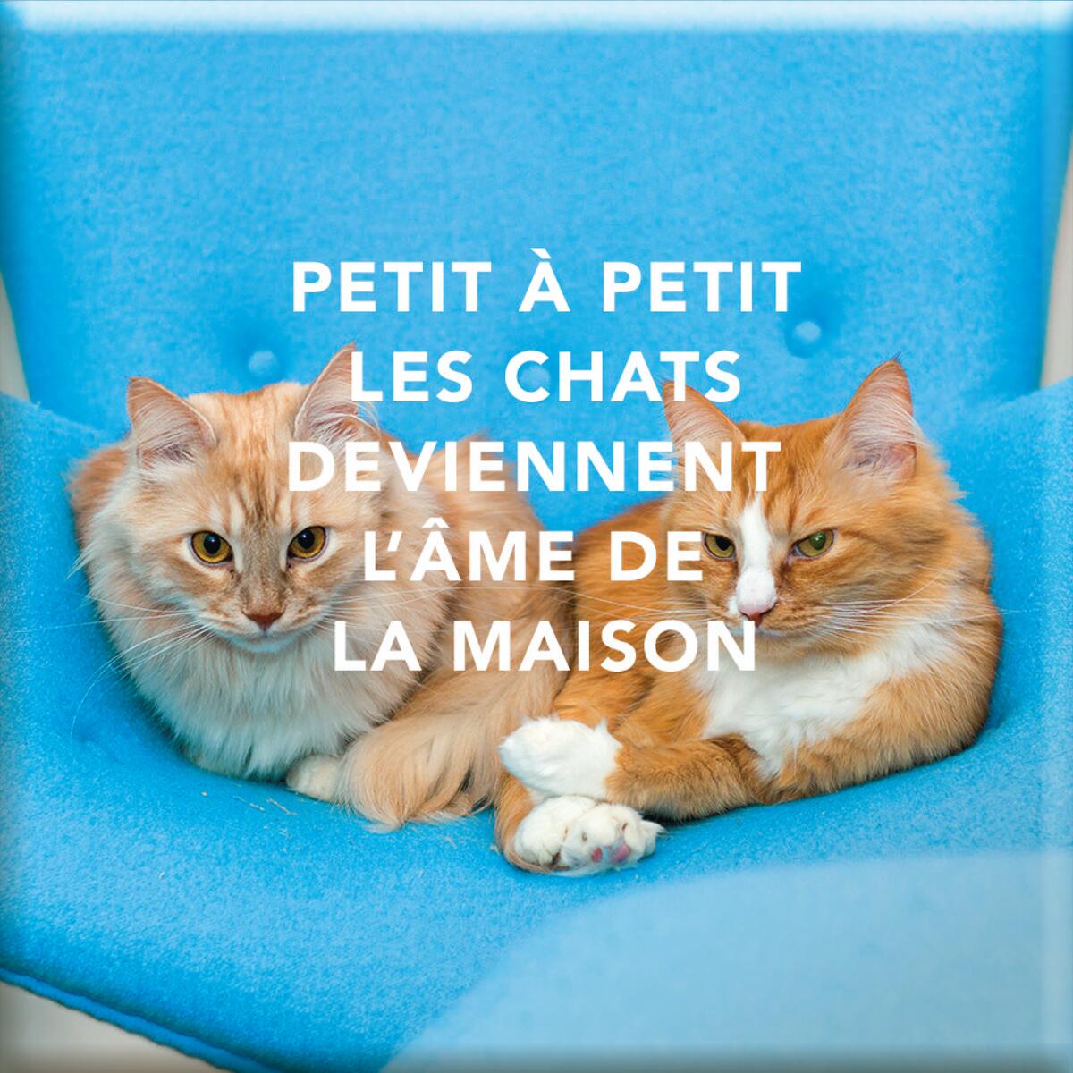 Imán Magnético - Para hermanas