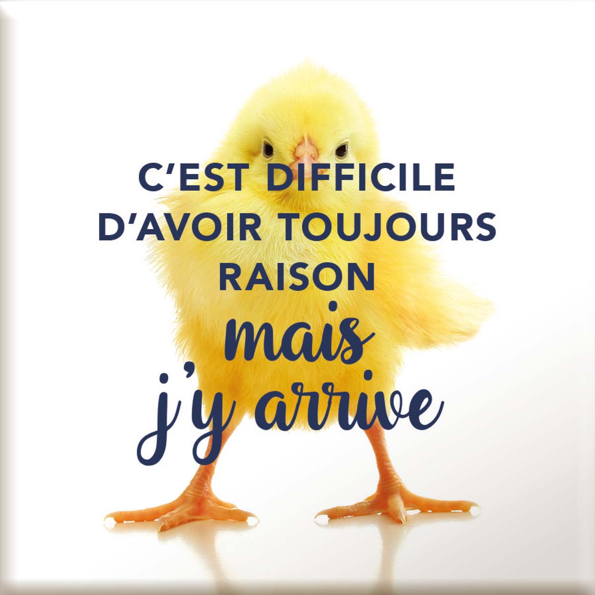 Magnet Aimanté - C'est difficile d'avoir toujours raison