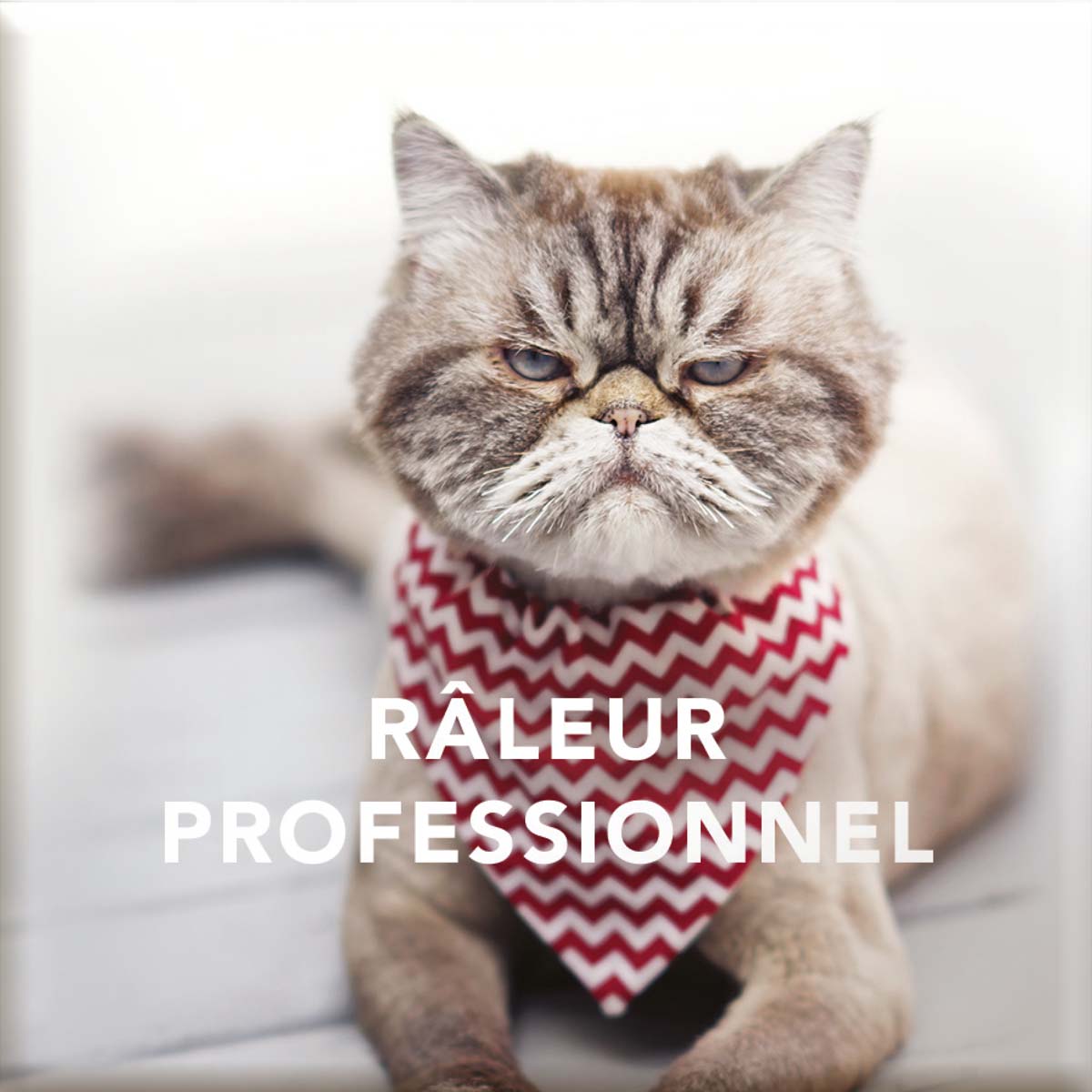 Imán Magnético - Para hermanas