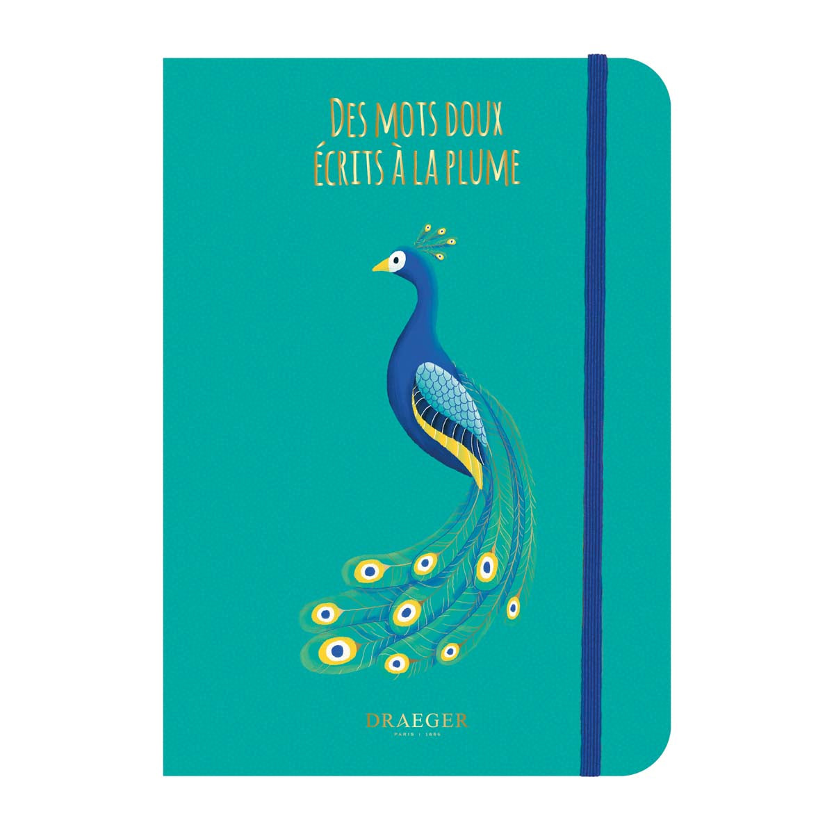 Cahier Family Pop - Plusieurs Motifs