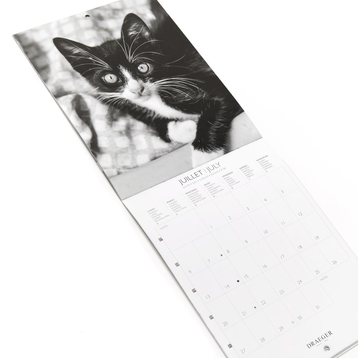 Petit calendrier 2026 Chats noir & blanc 4