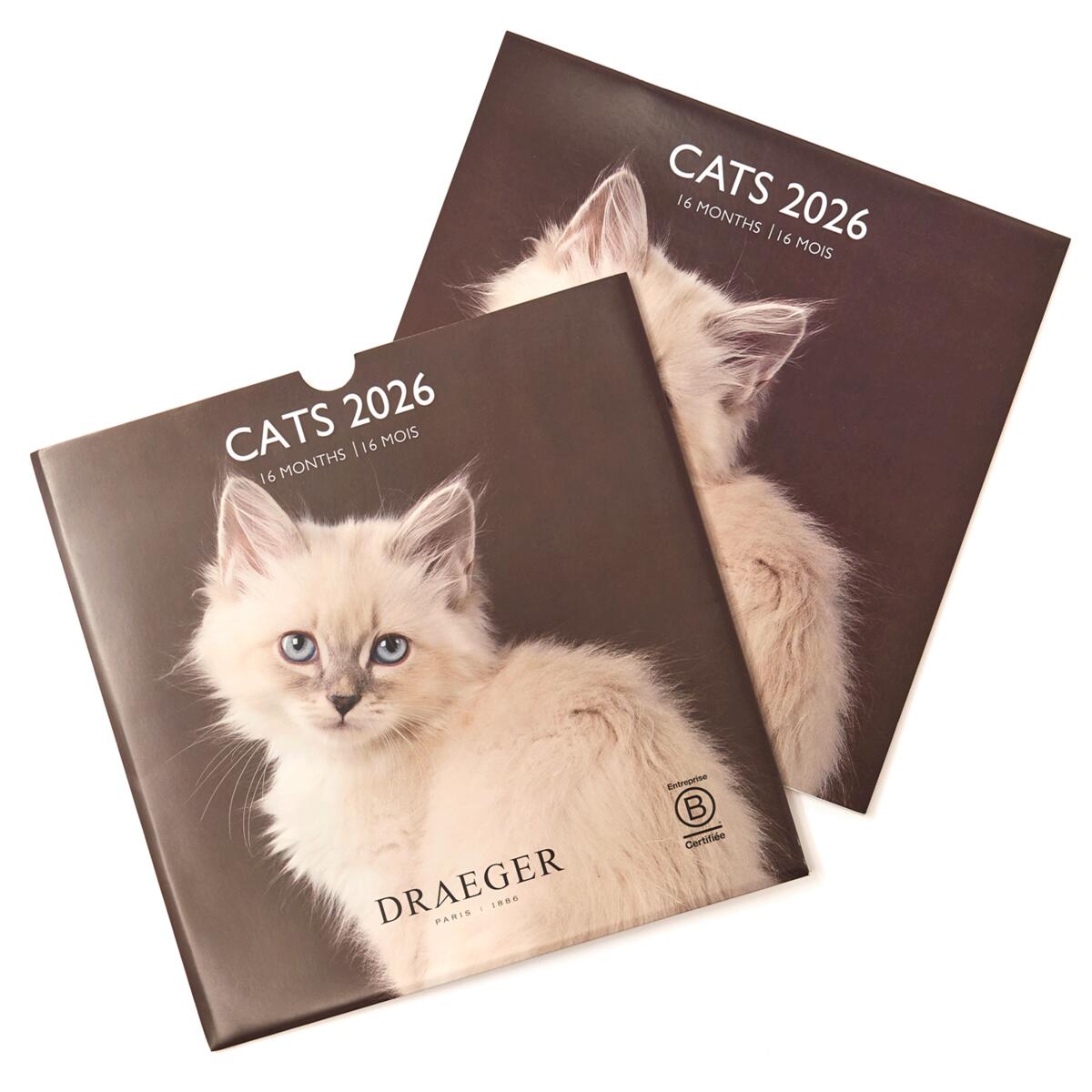 Grand calendrier mural 2026 Chats 3