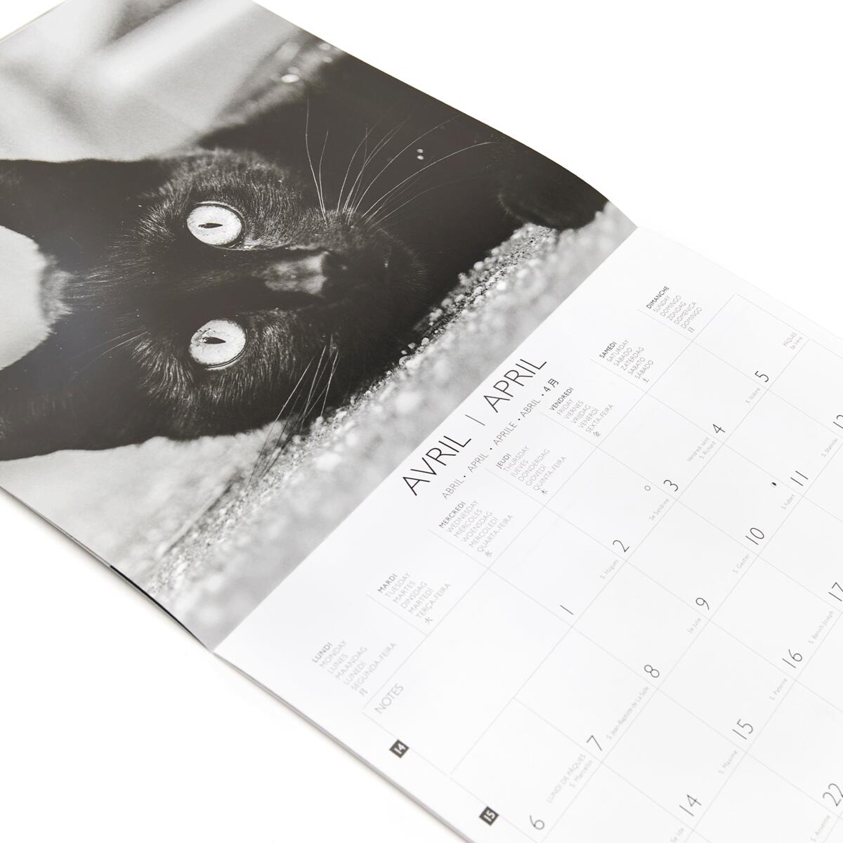 Grand calendrier mural 2026 Chats Noir & Blanc 4