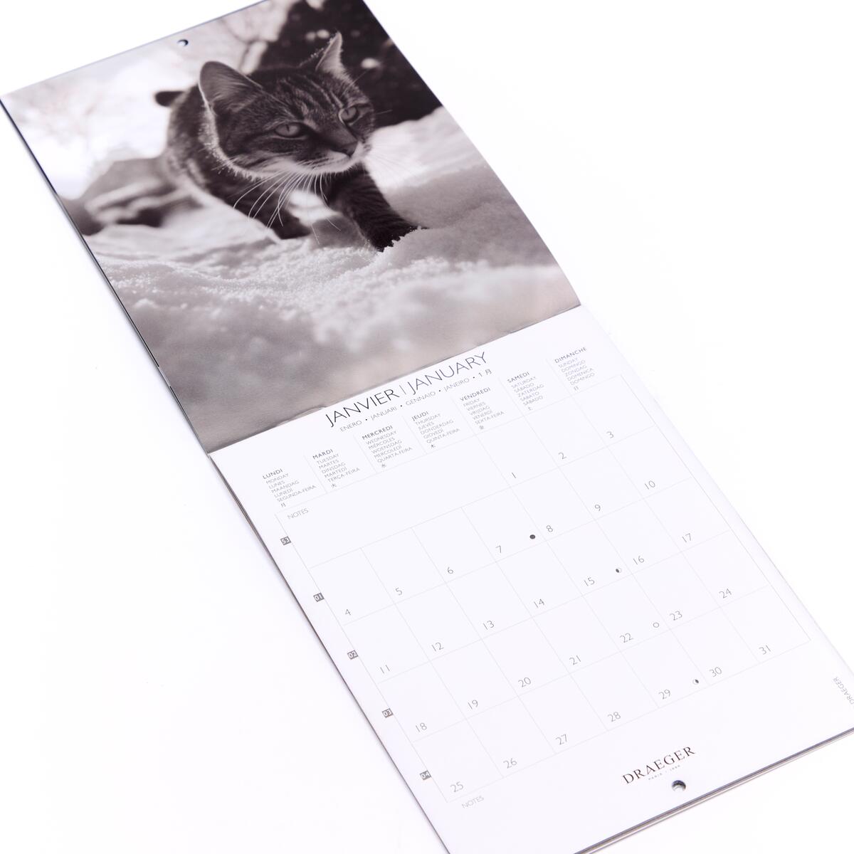 Petit calendrier mensuel 2027 Chats noir & blanc 3