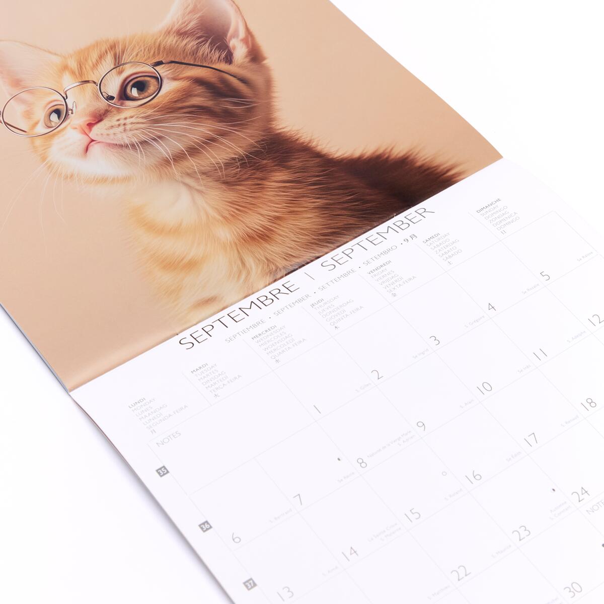 Grand calendrier mensuel 2027 Chats 3