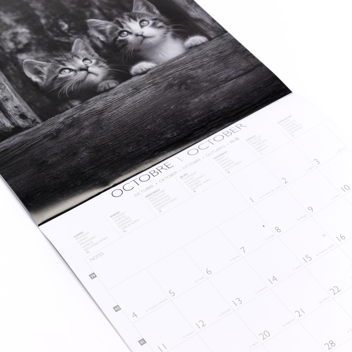 Grand calendrier mensuel 2027 Chats Noir & Blanc 3