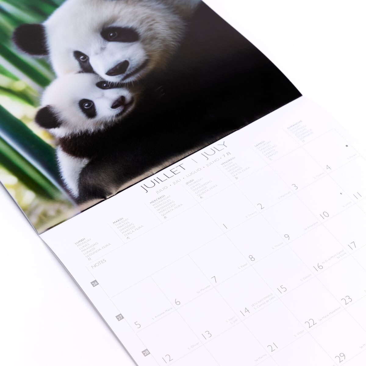 Grand calendrier mensuel 2027 Bébés animaux 3