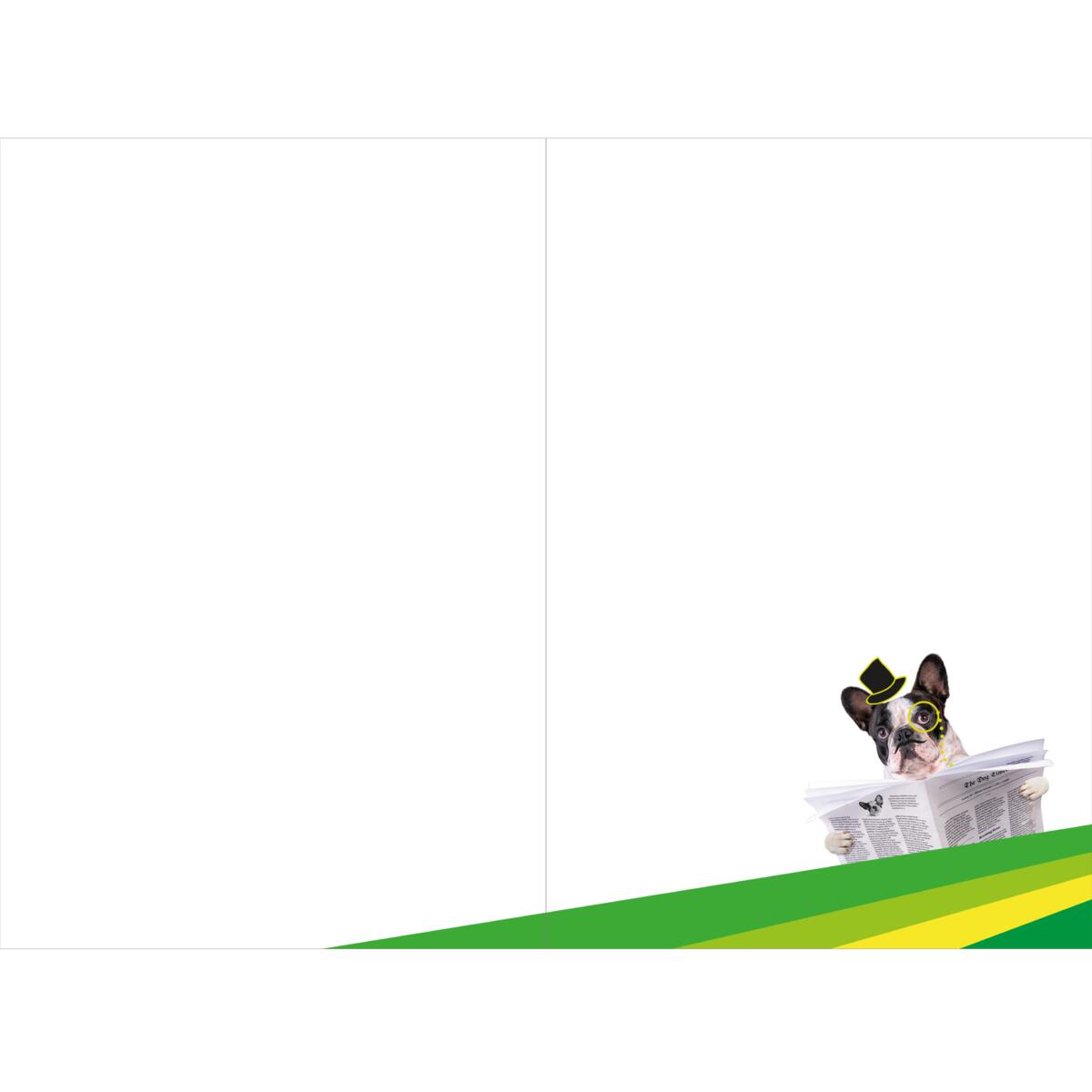 Carte anniversaire humour Chien journal 2