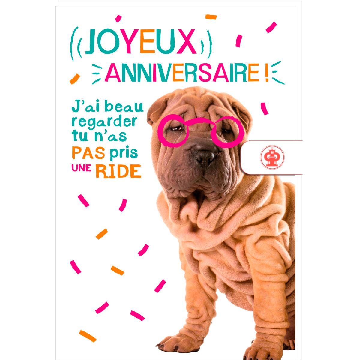 Carte anniversaire humour Chien rides 1