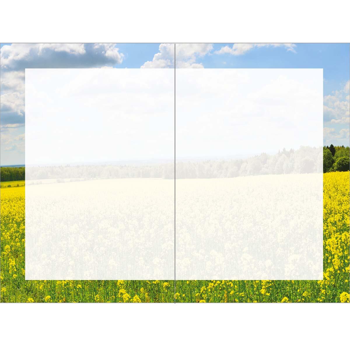 Carte anniversaire humour Vache 2