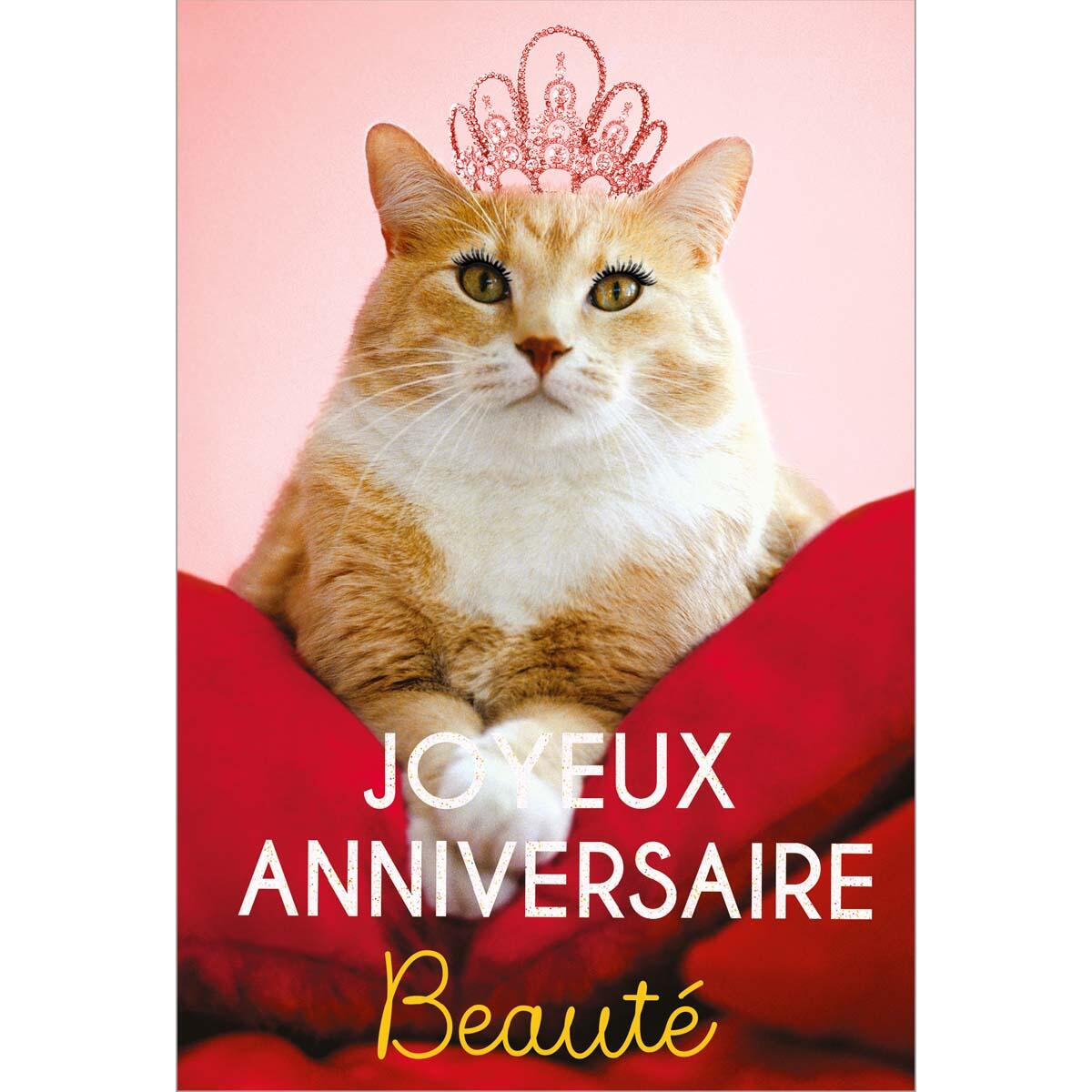 Carte anniversaire humour Chat princesse 1