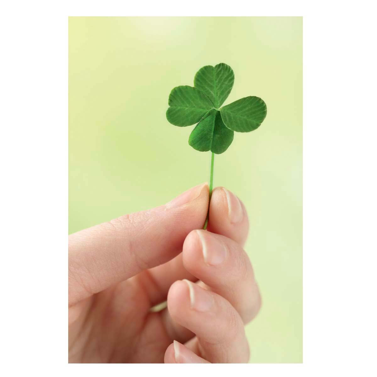 Carte de Voeux Mini - Trèfle