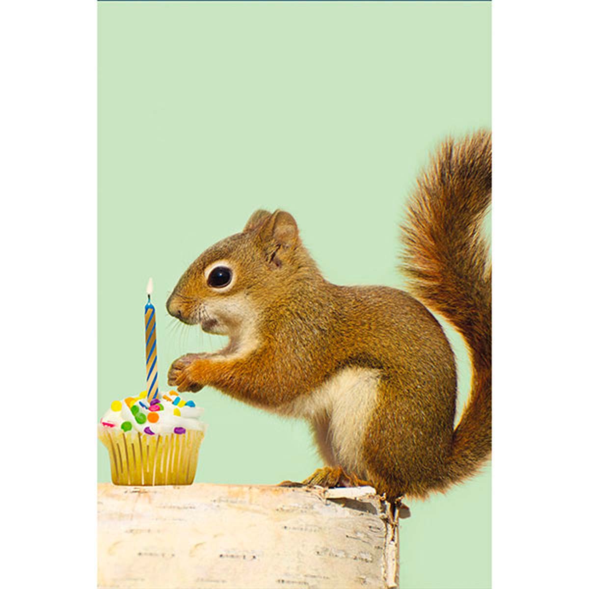 Carte de Voeux Mini - Écureuil & bougie d'anniversaire
