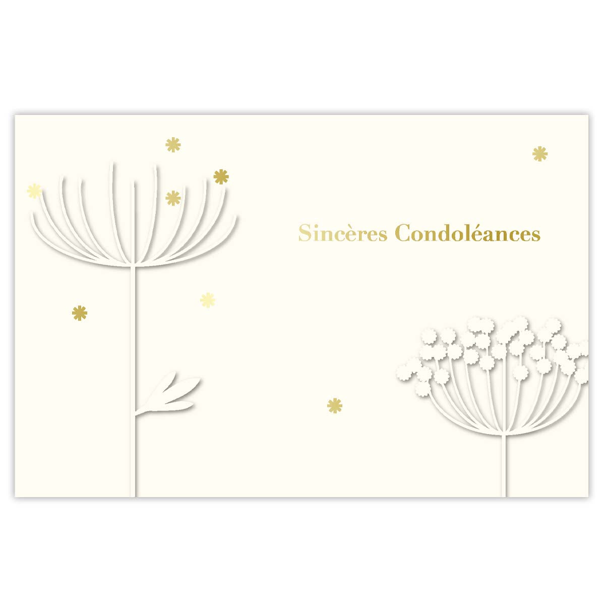 Carte de Vœux Sincères Condoléances - Bleu