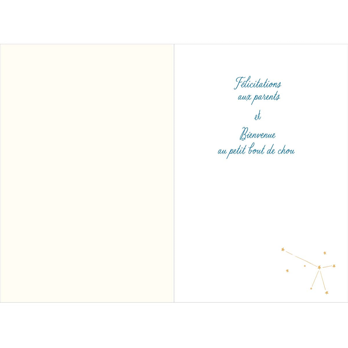 Carte de Vœux Thème Naissance Party Time - Plusieurs Styles