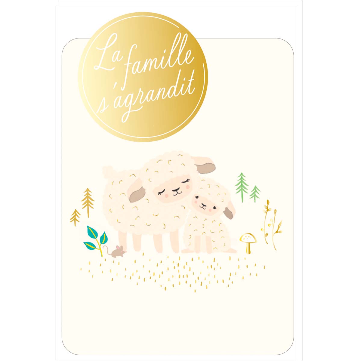 Carte de Vœux Thème Naissance Party Time - Plusieurs Styles