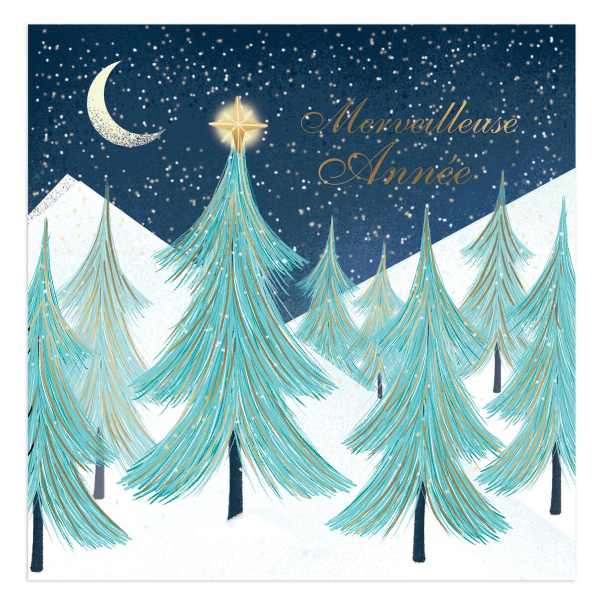 Coffret de cartes Croix-Rouge Merveilleuse année 2