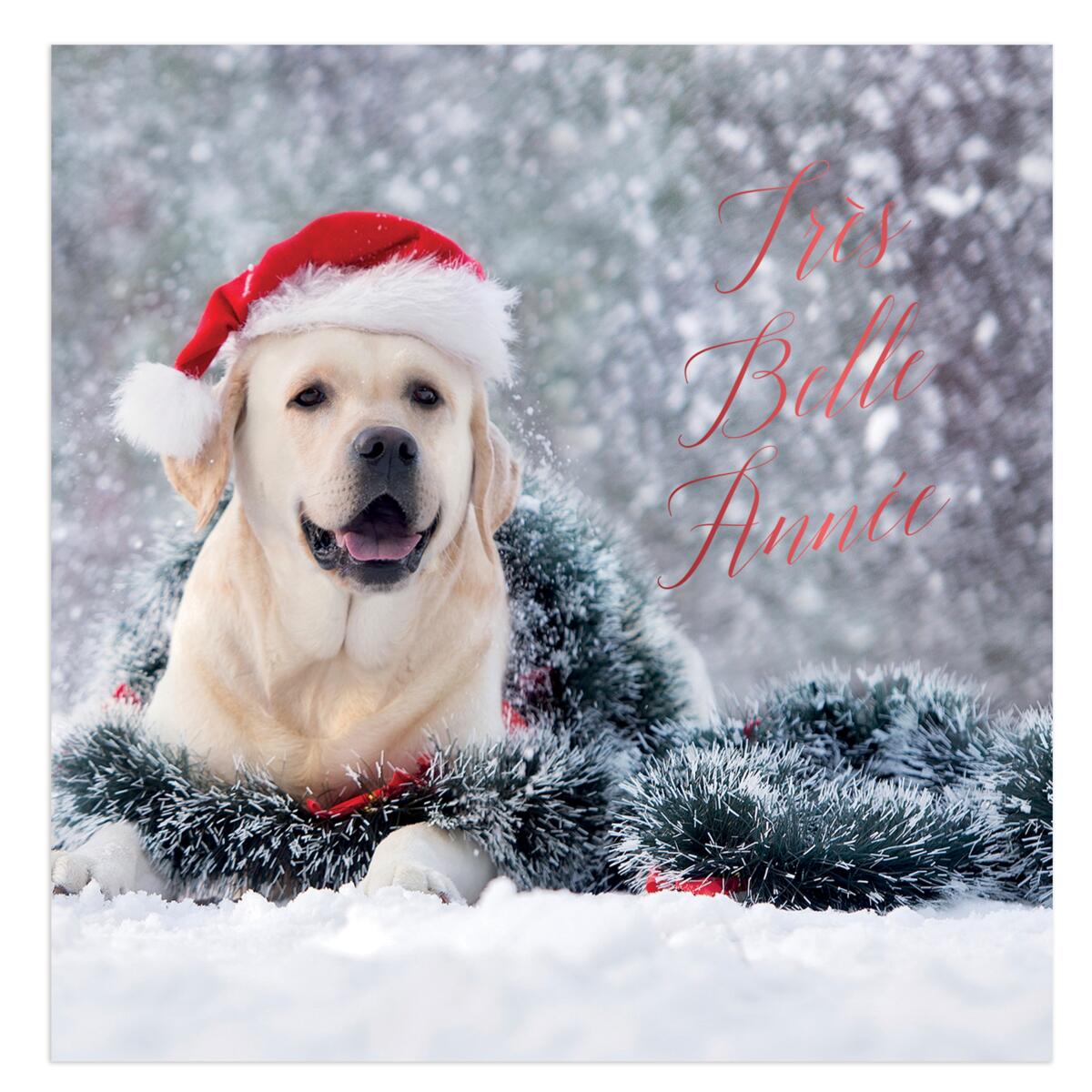 Coffret de cartes Croix-Rouge Très belle année 2