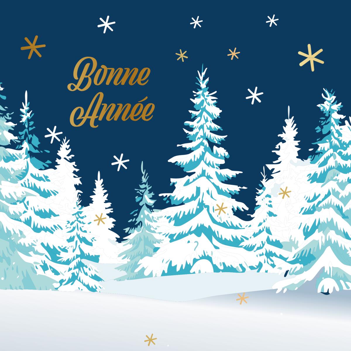 Coffret cartes de vœux Croix-Rouge Bonne année cheminée 3