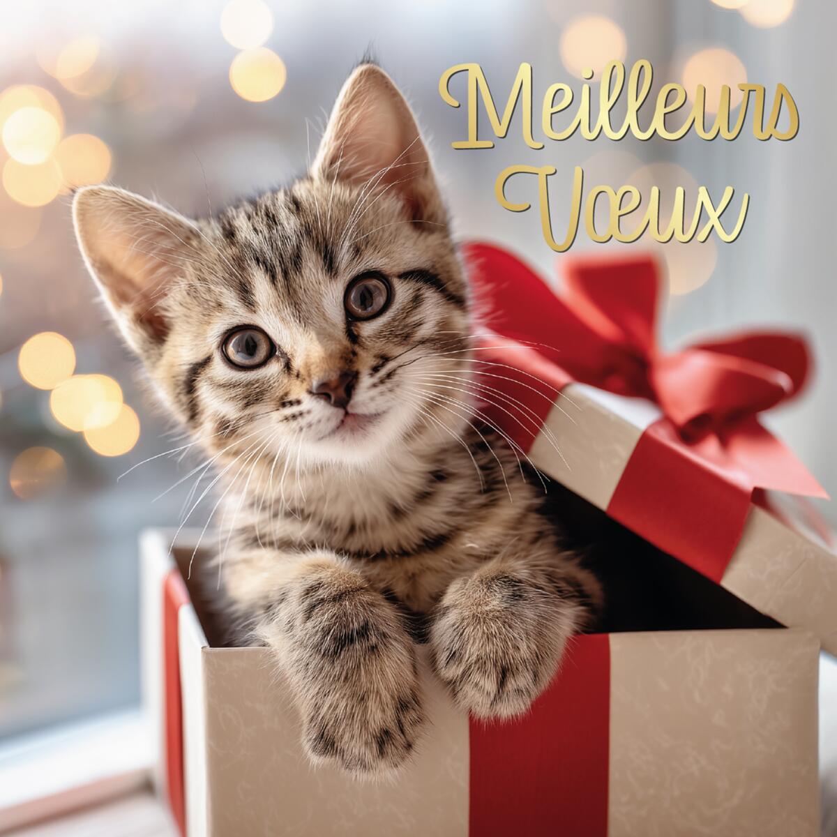 Coffret cartes de vœux Croix-Rouge Chats et cadeau 3