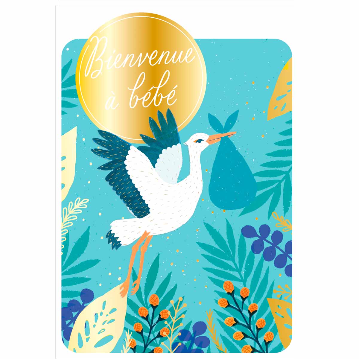 Carte de Vœux Thème Naissance Party Time - Plusieurs Styles