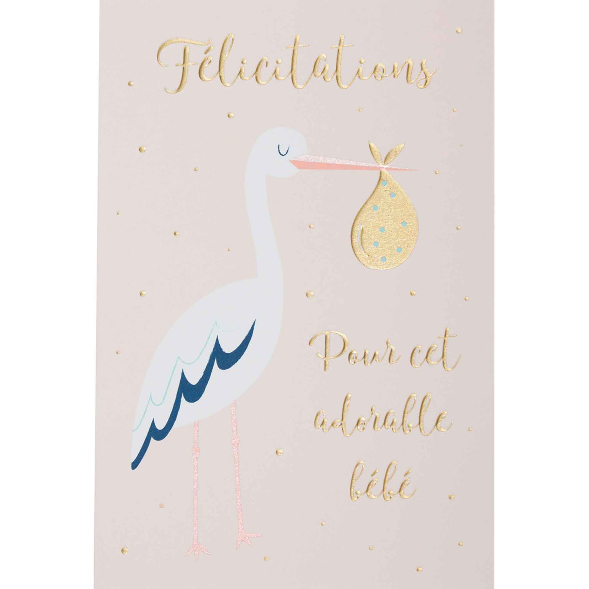 Carte naissance cigogne blanche