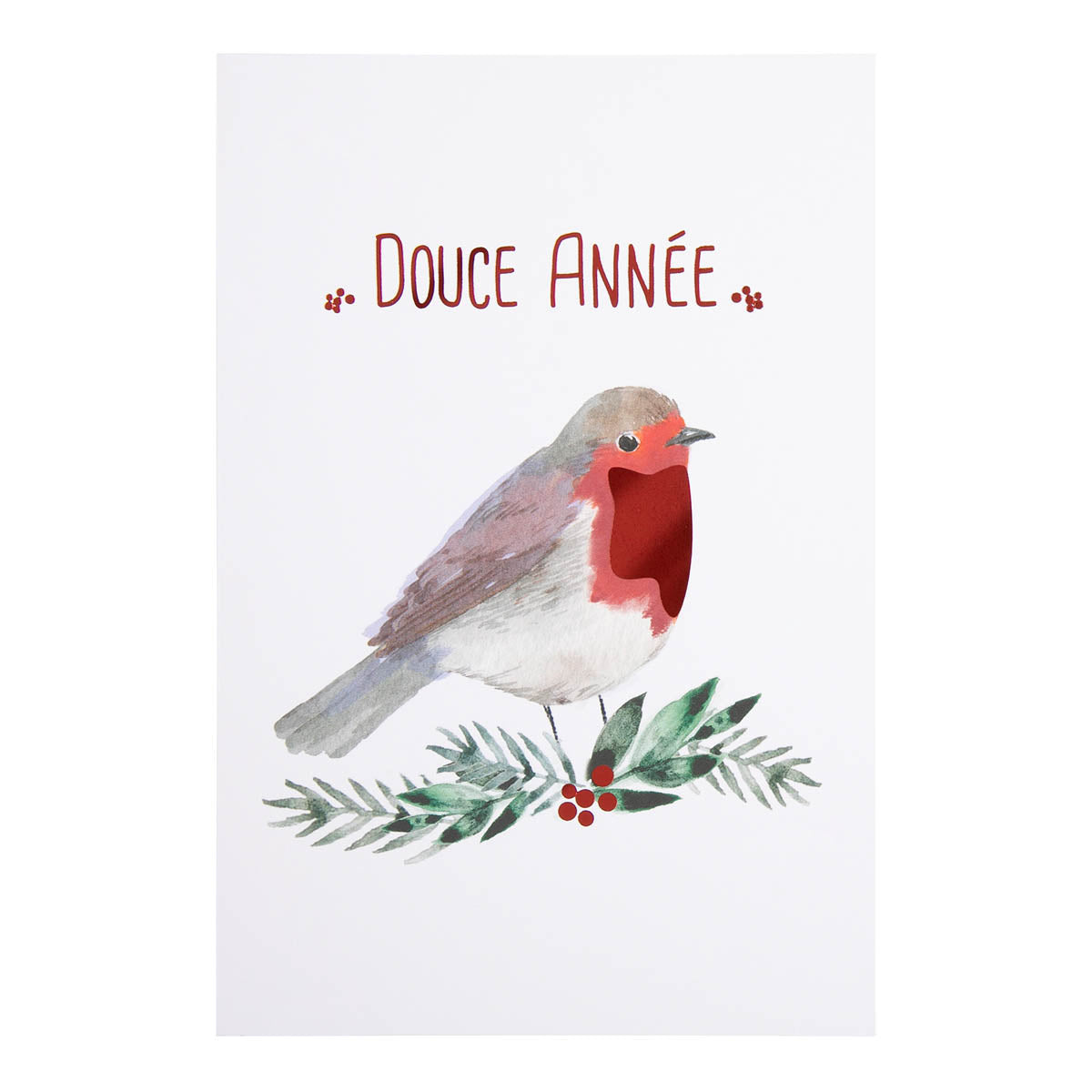 Carte de vœux Rouge Gorge Année