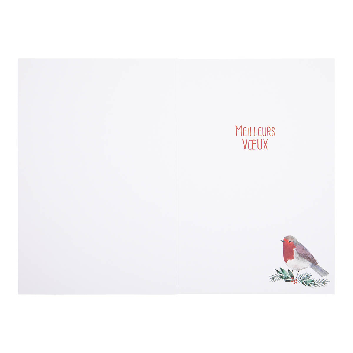 Carte de vœux Rouge Gorge Année