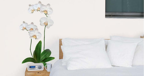 STICKERS MURAUX FLEURS : UNE DÉCORATION VÉGÉTALE PLEINE DE GAIETÉ !