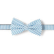 Noeud papillon à rayures bleues et blanches