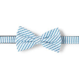 Noeud papillon à rayures bleues et blanches