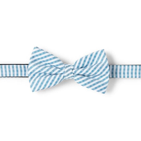 Noeud papillon à rayures bleues et blanches