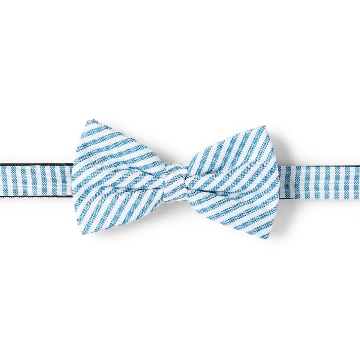 Nœud papillon à motif Rayures blanc et bleu 1