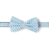 Nœud papillon à motif Rayures blanc et bleu 1