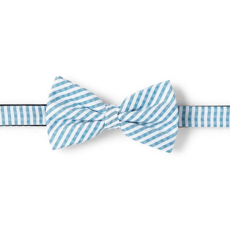 Nœud papillon à motif Rayures blanc et bleu 1