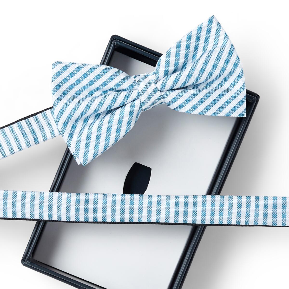 Nœud papillon à motif Rayures blanc et bleu 2