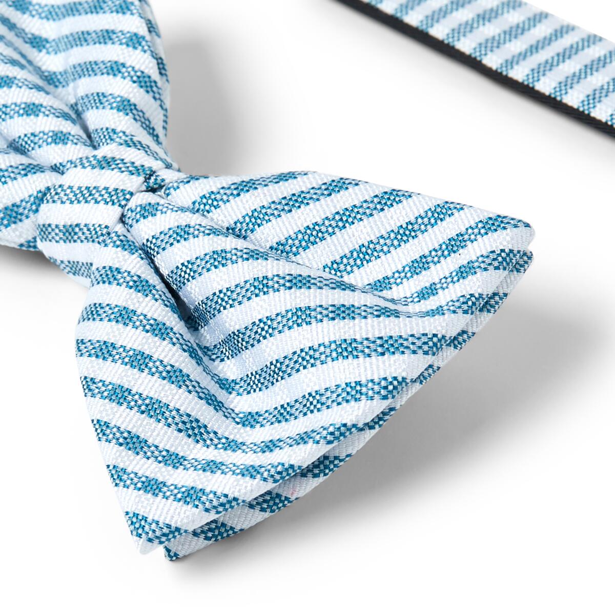 Nœud papillon à motif Rayures blanc et bleu 3