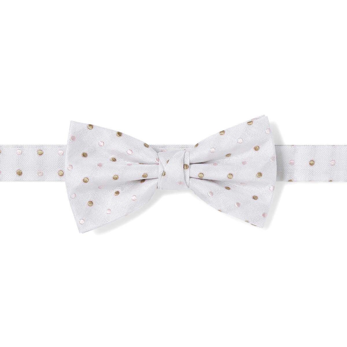 Nœud papillon à motif Blanc à pois 1