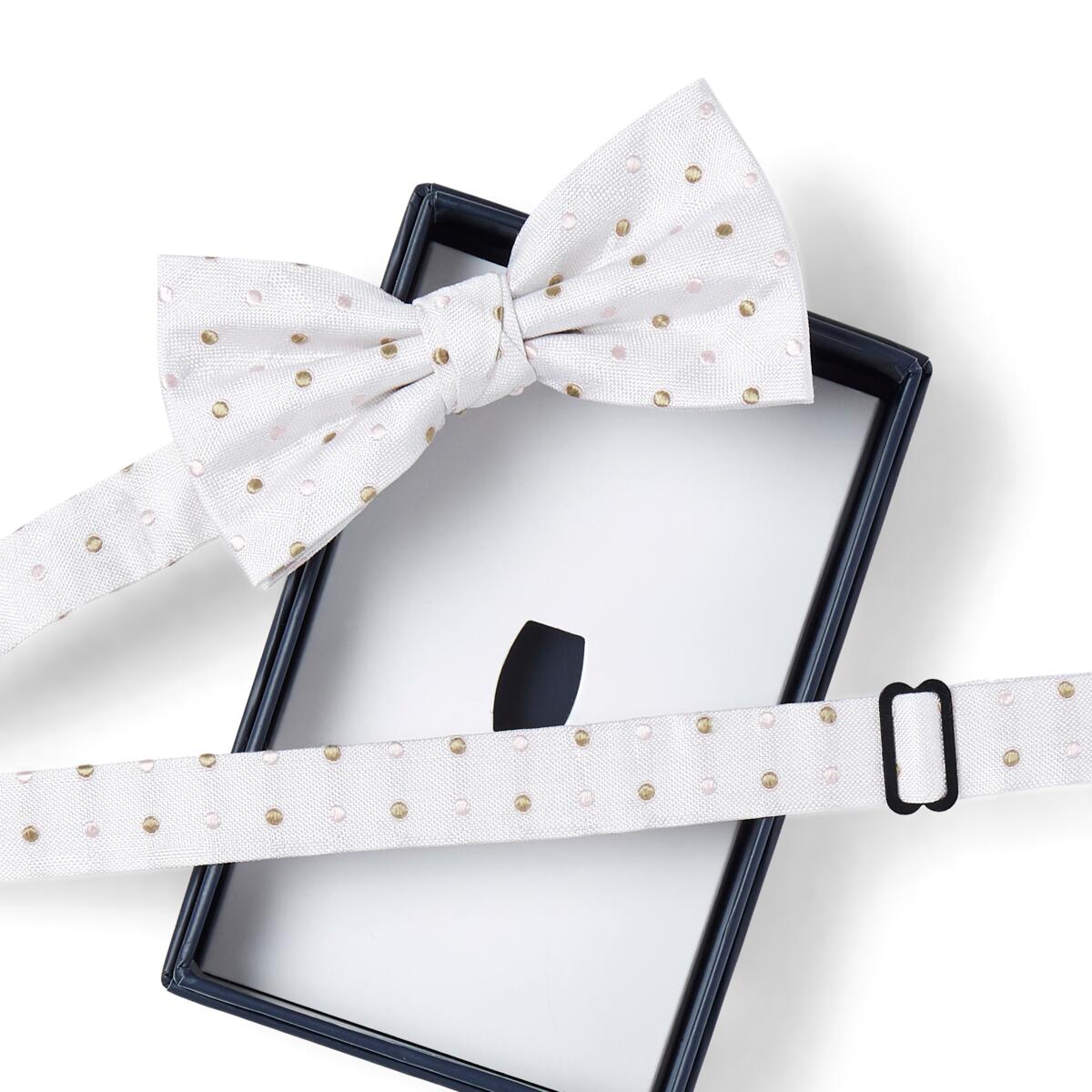 Nœud papillon à motif Blanc à pois 2